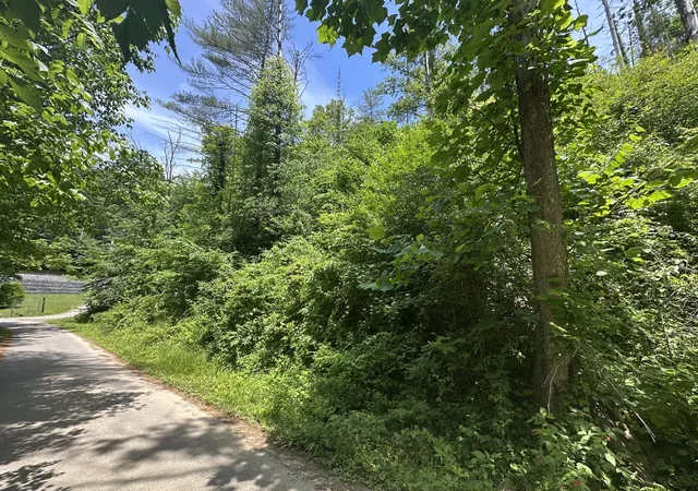 Photo 1 of Land for sale at 0 Ky 302, Van Lear, KY 41265 | MLS# 25005663 | Listing updated on 2026-06-11