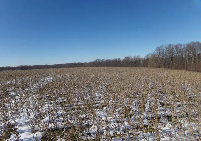 Photo 1 of Land for sale at 0000 Jacobs Loop Rd, Waynesburg, KY 40489 | MLS# 25000777 | Listing updated on 2025-09-12