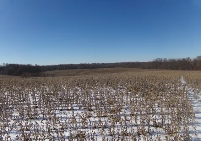 Photo 3 of Land for sale at 0000 Jacobs Loop Rd, Waynesburg, KY 40489 | MLS# 25000777 | Listing updated on 2025-09-12