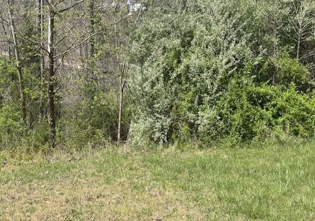 Homes for sale in Burnside, KY | Indian Creek Rd, Burnside, KY 42519 | MLS# 25005344