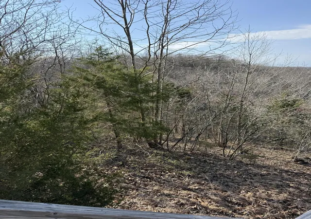Photo 3 of Land for sale at Lots 14 15 Peach Tree Ln, Russell Springs, KY 42642 | MLS# 25006146 | Listing updated on 2025-09-12