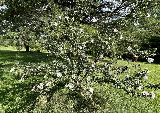 Photo 4 of Sale Pending at 7485 State Hwy 1675, Somerset, KY 42501 | MLS# 25010354 | Listing updated on 2026-06-20