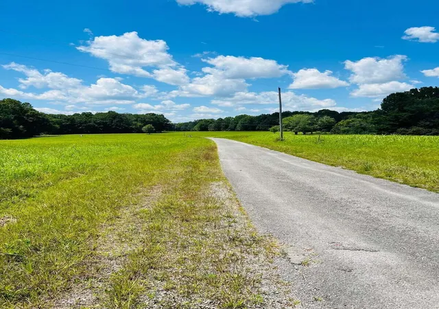 Photo 3 of Land for sale at 550 Dockery Rd, Russell Springs, KY 42642 | MLS# 24009832 | Listing updated on 2025-11-24