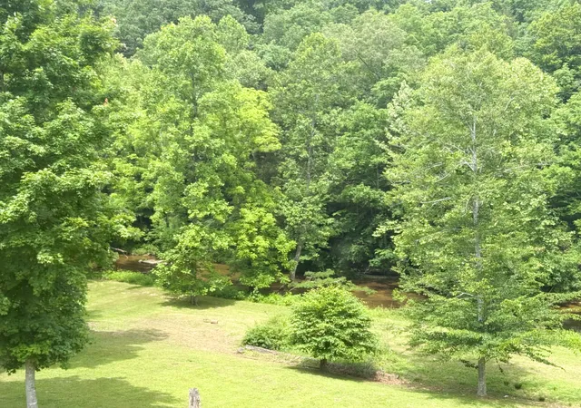 59th image of 111 Leveridge Ct, Jamestown, KY 42629 | MLS# 25012349