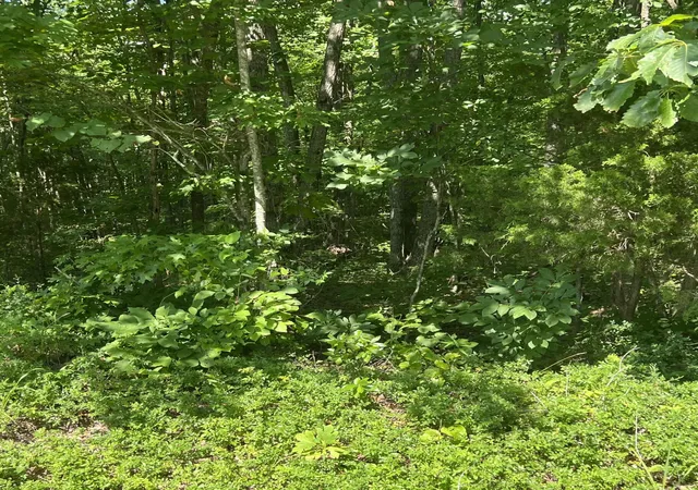 1st image of 1111 Hwy 3285, Monticello, KY 42633 | MLS# 25014370