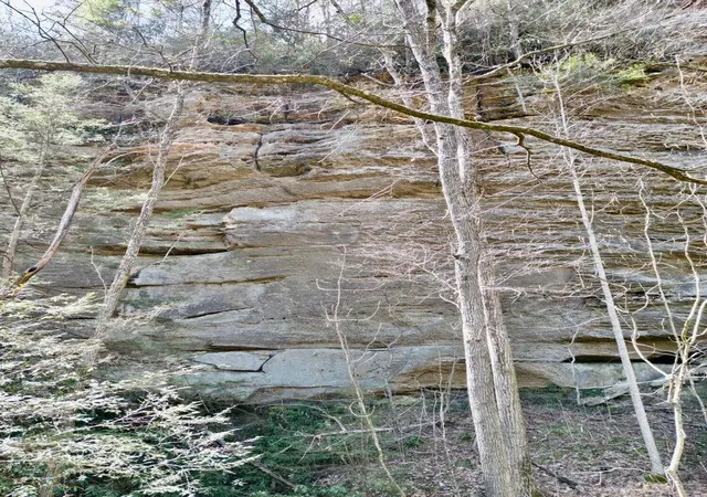 4th image of 0 Hwy 52 W, Beattyville, KY 41311 | MLS# 25011672