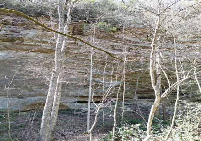 5th image of 0 Hwy 52 W, Beattyville, KY 41311 | MLS# 25011672