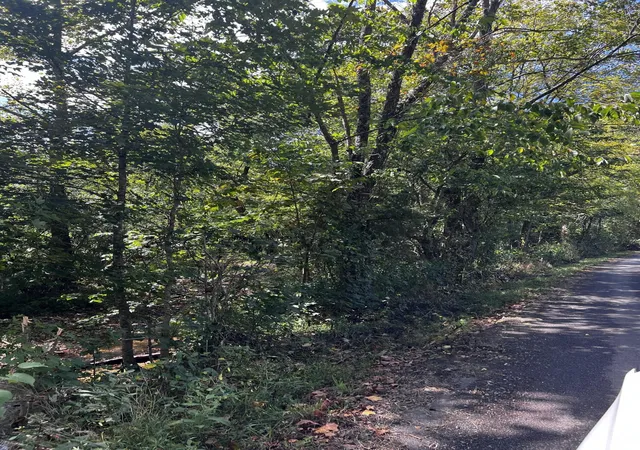 34th image of 2240 Pattie Ridge Rd, Dunnville, KY 42528 | MLS# 24019282