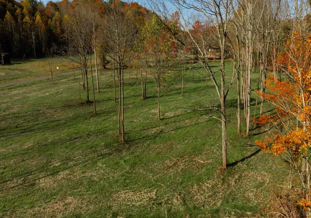 3rd image of 2240 Pattie Ridge Rd, Dunnville, KY 42528 | MLS# 24019282