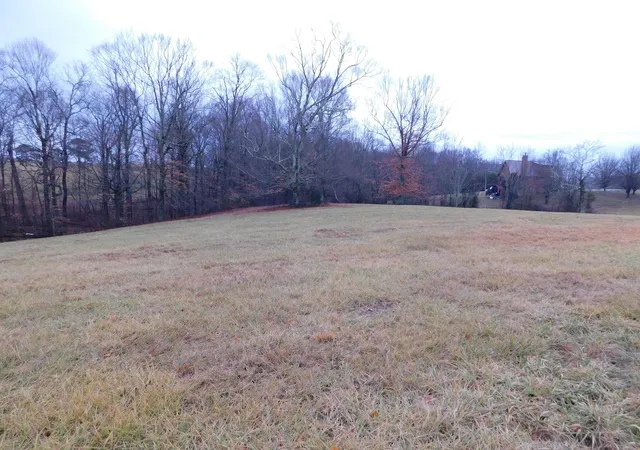 Land for sale at Lot 8 Creekside Blvd, Russell Springs, KY 42642 | MLS# 25002844