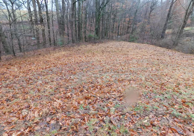 Photo 3 of Land for sale at Lot 8 Creekside Blvd, Russell Springs, KY 42642 | MLS# 25002844 | Listing updated on 2026-10-05