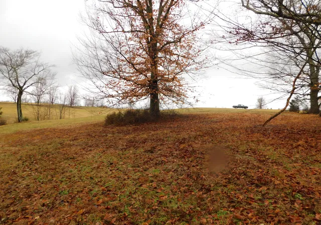 Photo 4 of Land for sale at Lot 8 Creekside Blvd, Russell Springs, KY 42642 | MLS# 25002844 | Listing updated on 2026-10-05