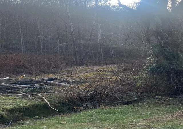 Photo 3 of Land for sale at 000 Jackson Smith Rd, Manchester, KY 40962 | MLS# 24025034 | Listing updated on 2025-09-12