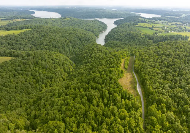 4th image of 001 Sally Burnett Rd, Monticello, KY 42633 | MLS# 25015391