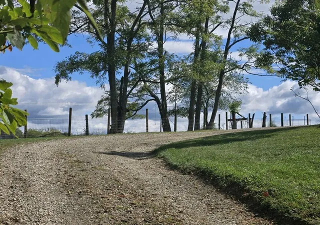 3rd image of 217 Morris Rd, Winchester, KY 40391 | MLS# 24025455
