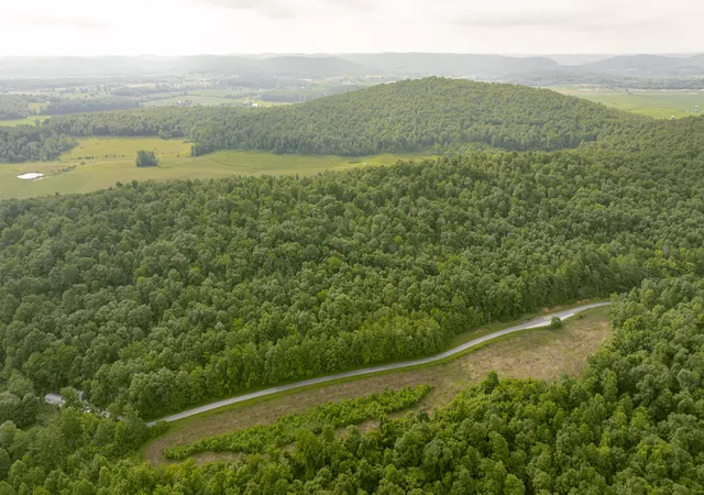 2nd image of 003 Sally Burnett Rd, Monticello, KY 42633 | MLS# 25015393