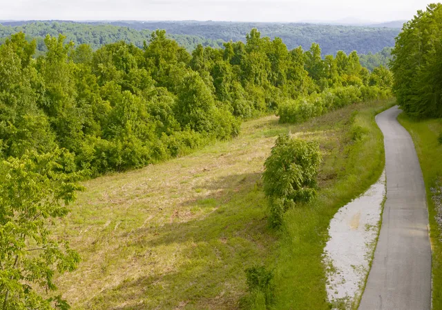 3rd image of 003 Sally Burnett Rd, Monticello, KY 42633 | MLS# 25015393