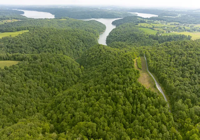 5th image of 003 Sally Burnett Rd, Monticello, KY 42633 | MLS# 25015393
