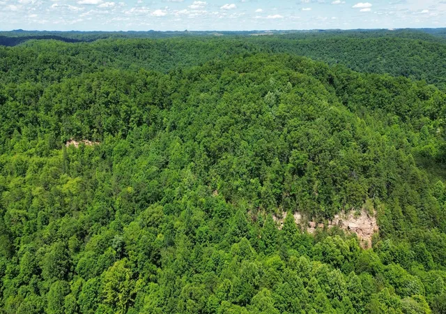 Photo 1 of Land for sale at 450 Ky Hwy 542, Jackson, KY 41339 | MLS# 25004481 | Listing updated on 2026-09-12
