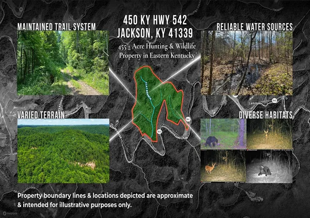 Photo 2 of Land for sale at 450 Ky Hwy 542, Jackson, KY 41339 | MLS# 25004481 | Listing updated on 2026-09-12