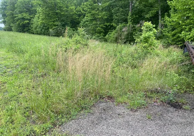 image of 81 107 N Gracie Ln, Russell Springs, KY 42642 | MLS# 24009276