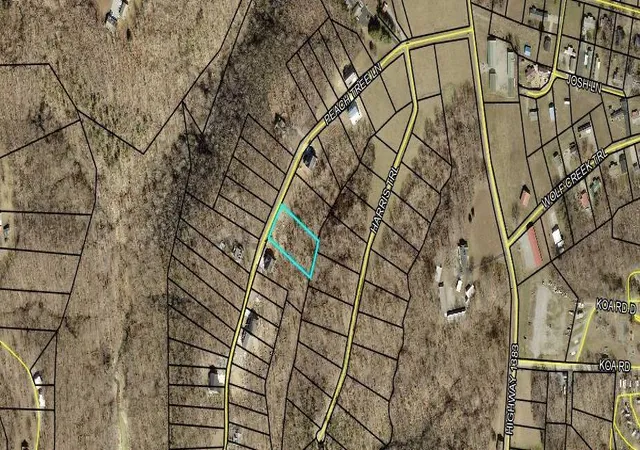 Photo 3 of Land for sale at 2 Peach Tree Ln, Russell Springs, KY 42642 | MLS# 24009350 | Listing updated on 2025-09-27