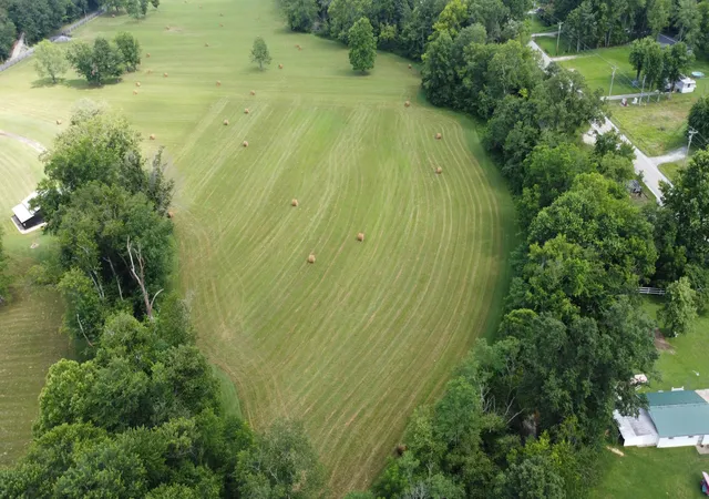 Photo 3 of Land for sale at 739 Old State Hwy 11, Jeffersonville, KY 40337 | MLS# 25014740 | Listing updated on 2025-12-29