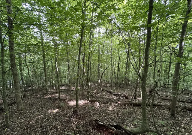 Photo 2 of Land for sale at 9999 Yellow Springs Road Road, London, KY 40741 | MLS# 25011772 | Listing updated on 2025-09-12