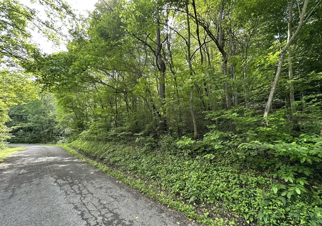 Photo 3 of Land for sale at 9999 Yellow Springs Road Road, London, KY 40741 | MLS# 25011772 | Listing updated on 2025-09-12