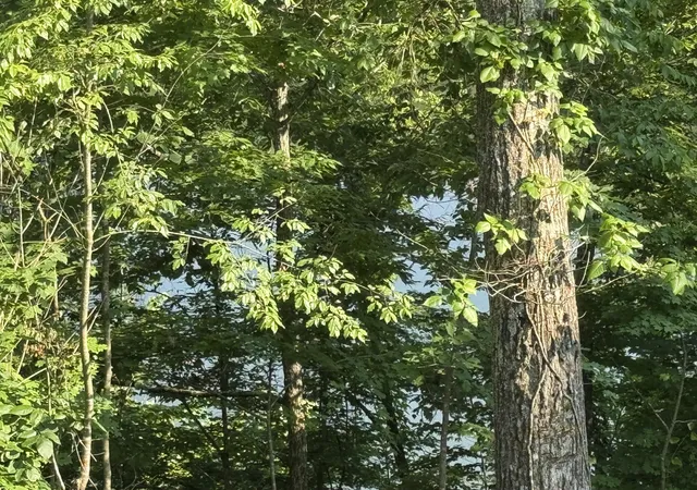 2nd image of 9700 Rush Branch Rd, Somerset, KY 42501 | MLS# 25011816