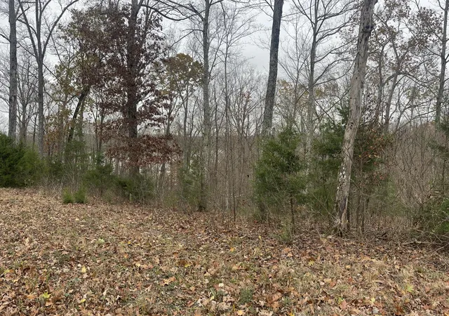 Homes for sale in Monticello, KY | Lot 28 Cumberland Shores, Monticello, KY 42633 | MLS# 25012381