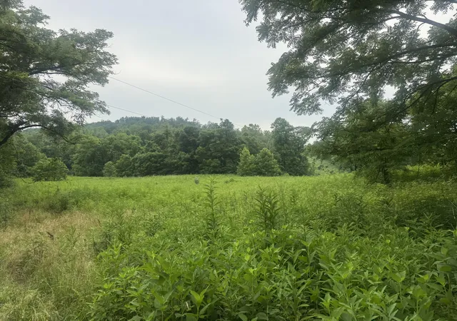 Photo 1 of Land for sale at 500 Hail Bridge Rd, Somerset, KY 42501 | MLS# 25013835 | Listing updated on 2025-09-12