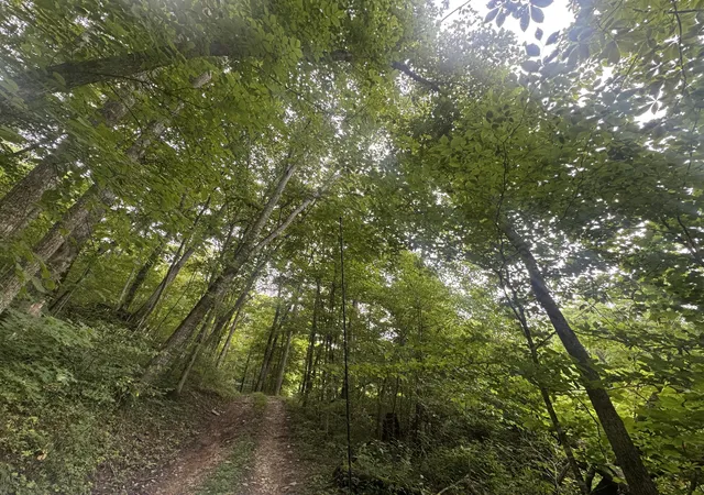 Photo 2 of Land for sale at 500 Hail Bridge Rd, Somerset, KY 42501 | MLS# 25013835 | Listing updated on 2025-09-12