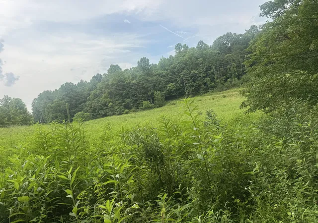 Photo 3 of Land for sale at 500 Hail Bridge Rd, Somerset, KY 42501 | MLS# 25013835 | Listing updated on 2025-09-12