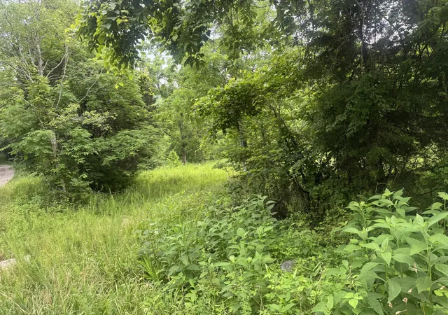 Photo 4 of House for sale at 500 Hail Bridge Rd, Somerset, KY 42501 | MLS# 25013835 | Listing updated on 2025-09-12