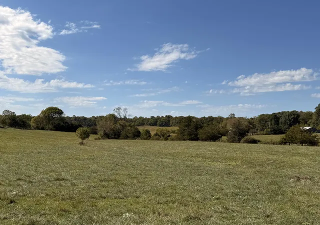 38th image of 1013 Richardson Rd, Nancy, KY 42544 | MLS# 25012406