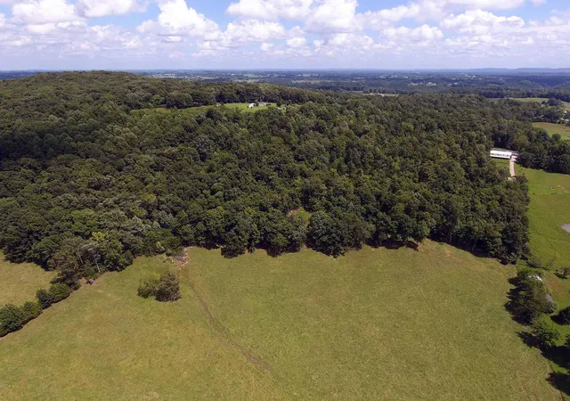 5th image of 1013 Richardson Rd, Nancy, KY 42544 | MLS# 25012406