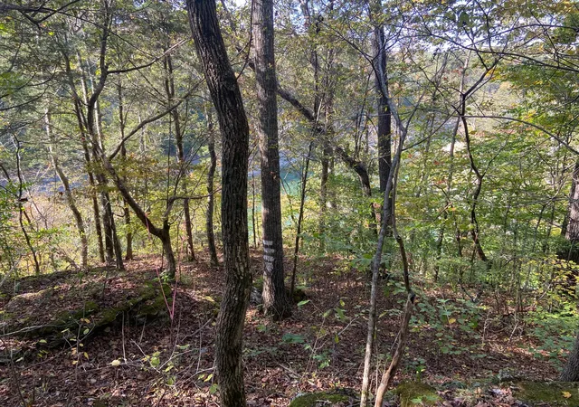 5th image of 3A Cherokee Trl, Nancy, KY 42544 | MLS# 25000921