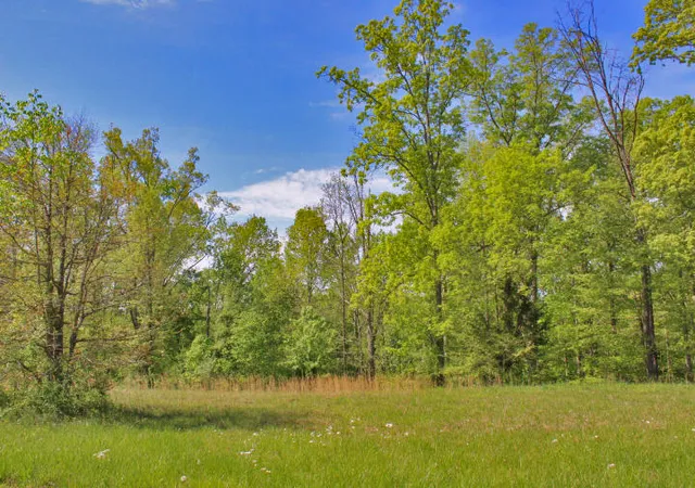 Homes for sale in Somerset, KY | 64 Lake Crest Dr, Somerset, KY 42503 | MLS# 20115826