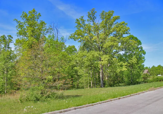 Homes for sale in Somerset, KY | 64 Lake Crest Dr, Somerset, KY 42503 | MLS# 20115826