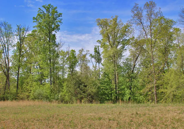Homes for sale in Somerset, KY | 100 Lake Crest Dr, Somerset, KY 42503 | MLS# 20115814