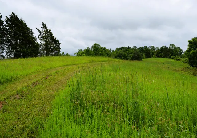 Photo 3 of Land for sale at 2795acres Tract 3, Corinth Rd, Lawrenceburg, KY 40342 | MLS# 25012616 | Listing updated on 2025-09-27
