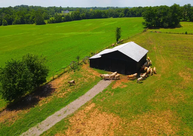 1st image of 999 Silas Rd, Cynthiana, KY 41031 | MLS# 25016066
