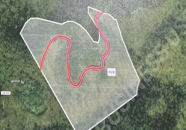 1st image of 9999 Wildcat Trail Rd, East Bernstadt, KY 40729 | MLS# 25012970