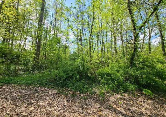 Photo 3 of Land for sale at 4777 W Hwy 80, Somerset, KY 42503 | MLS# 25012889 | Listing updated on 2026-06-22