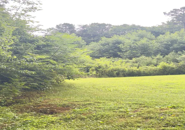 Photo 1 of Land for sale at 1111 Whitley Trail, London, KY 40744 | MLS# 25015549 | Listing updated on 2025-09-26