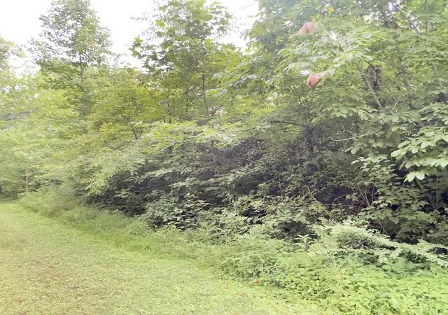 Photo 2 of Land for sale at 1111 Whitley Trail, London, KY 40744 | MLS# 25015549 | Listing updated on 2025-09-26