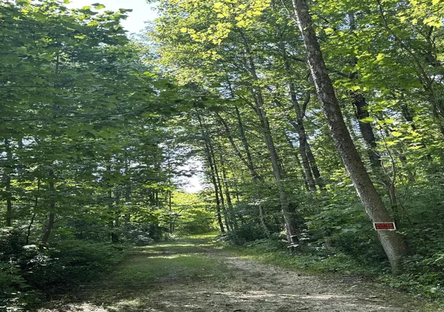 Photo 3 of Land for sale at 1111 Whitley Trail, London, KY 40744 | MLS# 25015549 | Listing updated on 2025-09-26