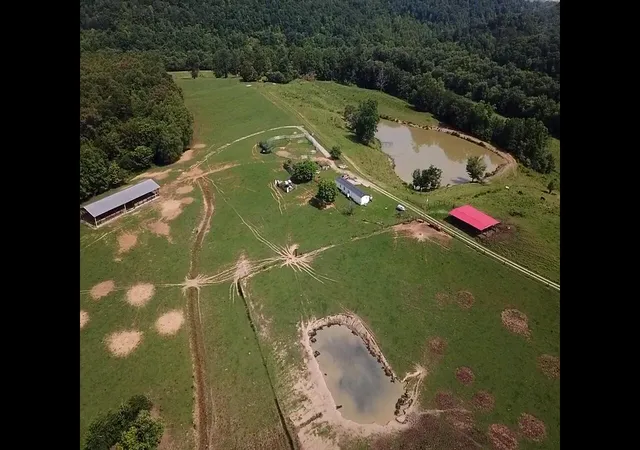 Photo 3 of Land for sale at 1440 Lawson Bnd Rd, Williamsburg, KY 40769 | MLS# 25012937 | Listing updated on 2026-08-03