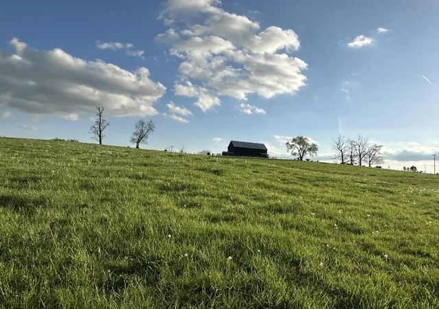 1st image of 3523 Cynthiana Rd, Georgetown, KY 40324 | MLS# 24022426